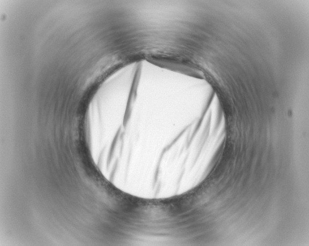 X0000088660738200706221635