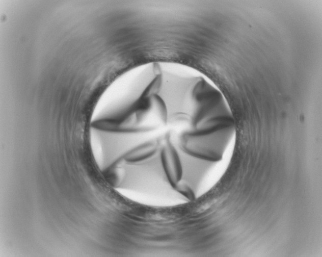 X0000088660739200706221635