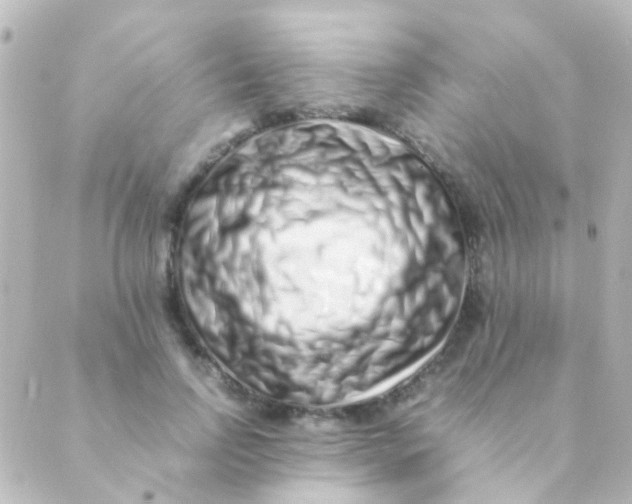 X0000088660742200706221635
