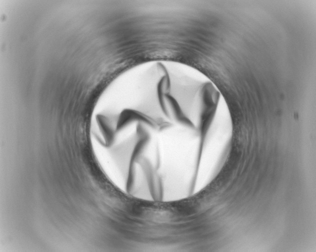 X0000088660743200706221635