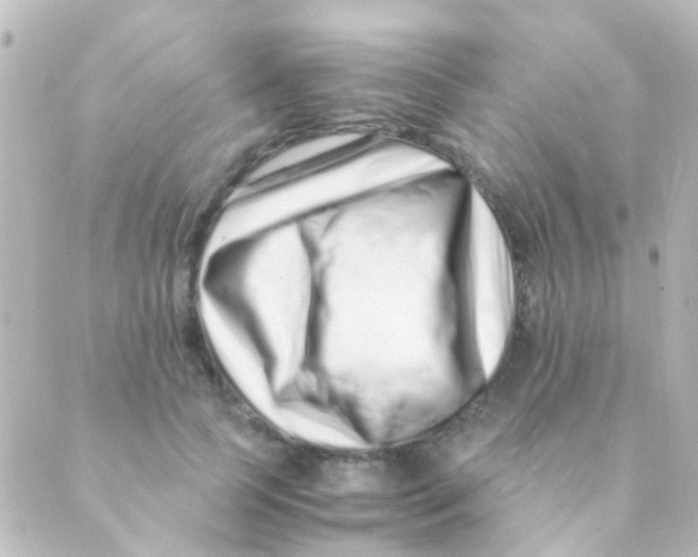 X0000088660745200706221635
