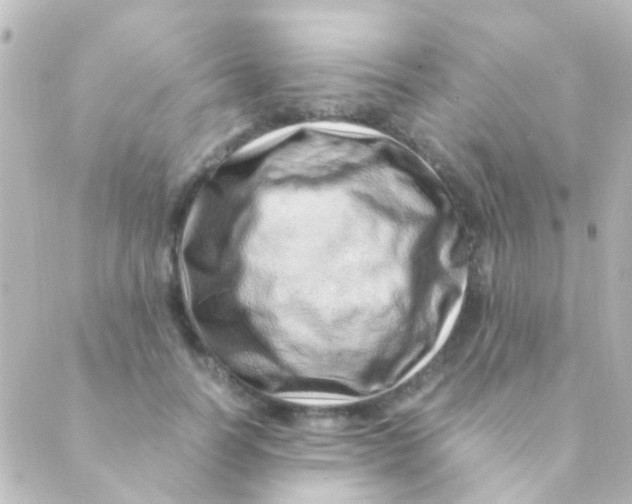 X0000088660746200706221635