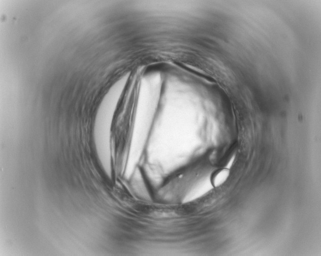 X0000088660749200706221635