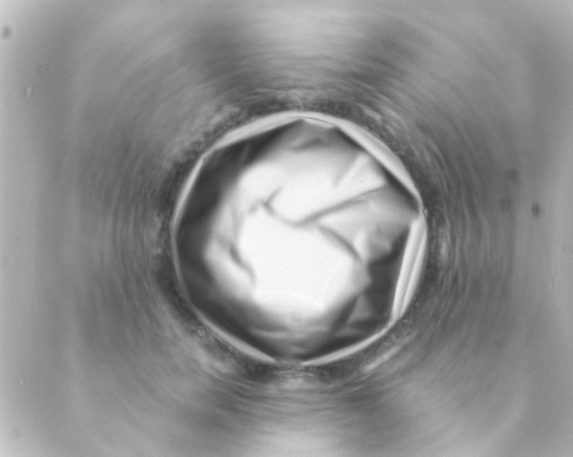 X0000088660750200706221635