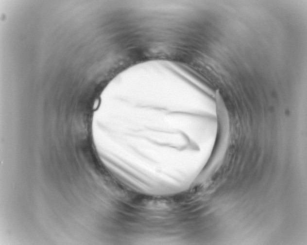 X0000088660751200706221635