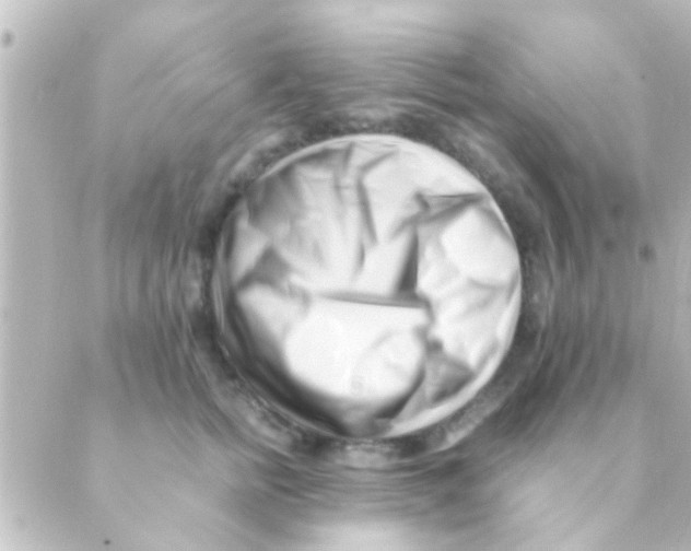 X0000088660758200706221635