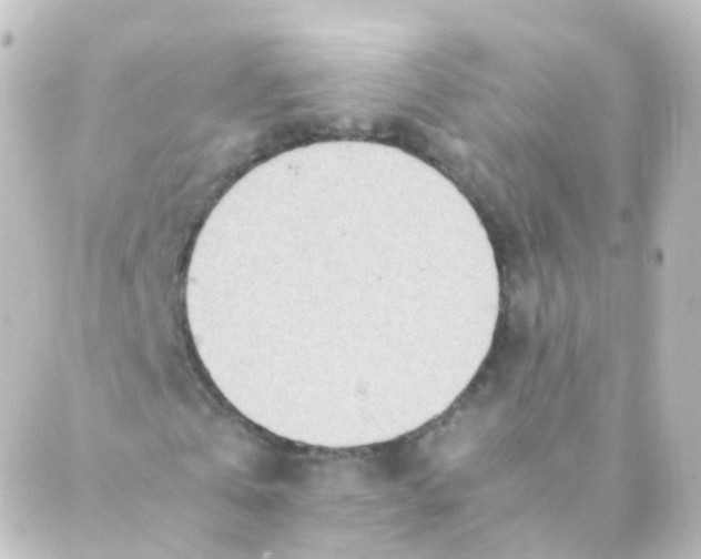 X0000088660769200706221634