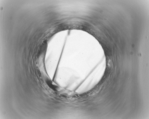X0000088660771200706221634