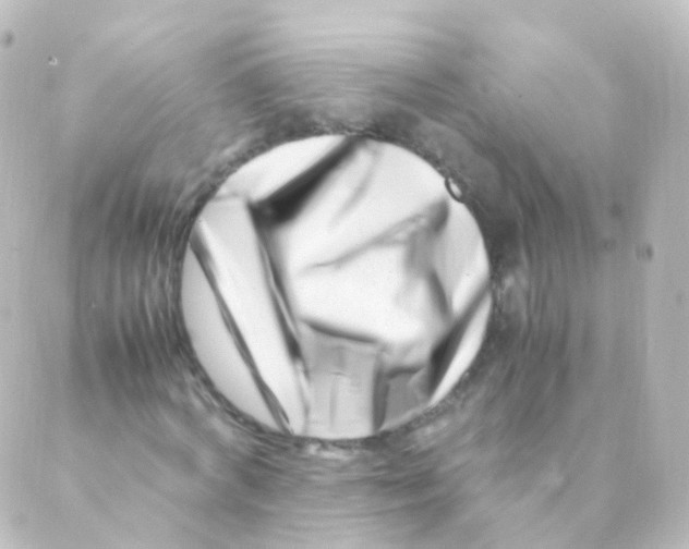 X0000088660772200706221634