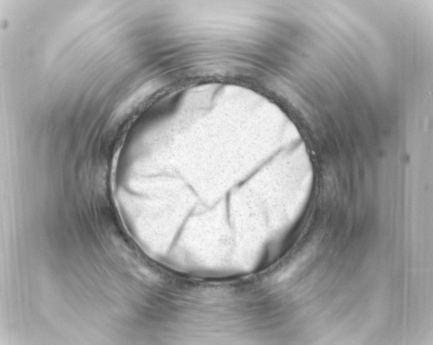 X0000088660778200706221634