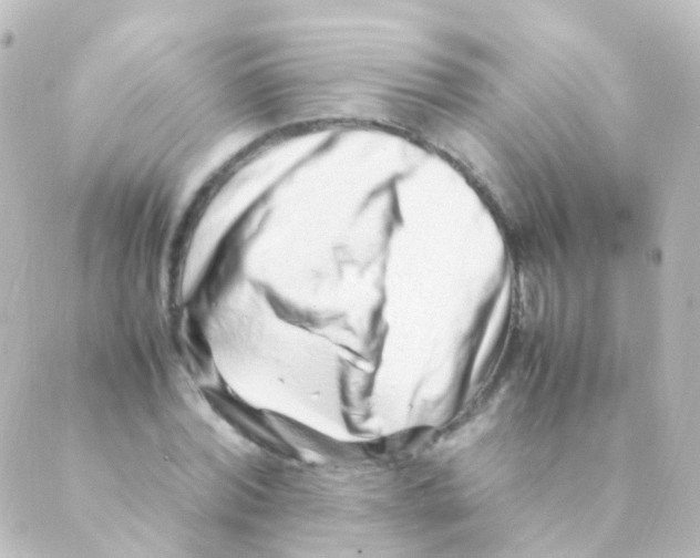 X0000088660780200706221634