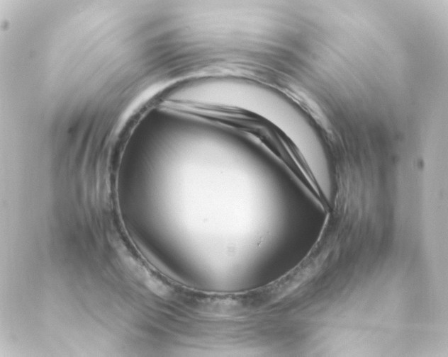 X0000088660784200706221634