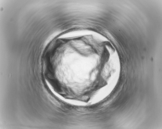 X0000088660787200706221634