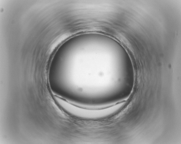 X0000088660789200706221634