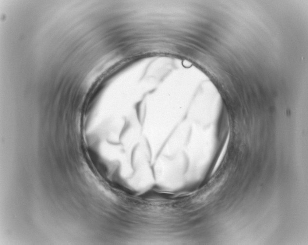 X0000088660790200706221634