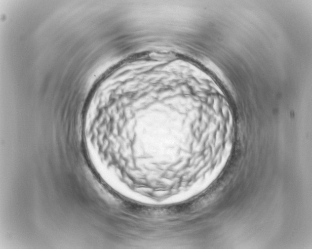 X0000088660791200706221634