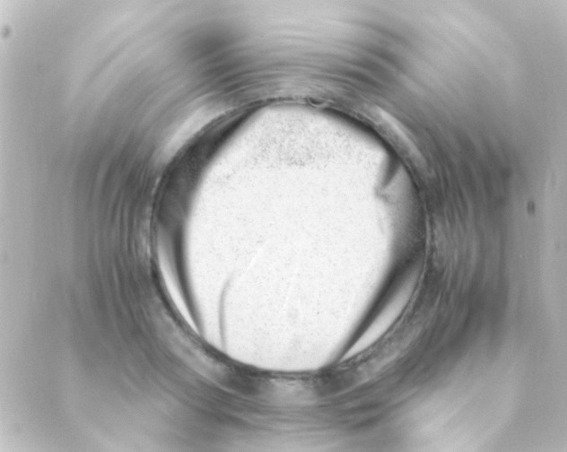 X0000088660794200706221634