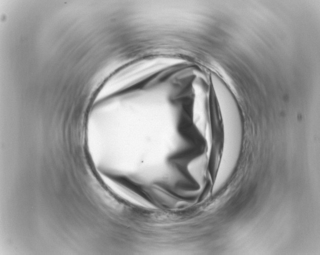 X0000088660795200706221634