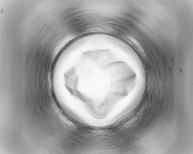 X0000088660796200706221634