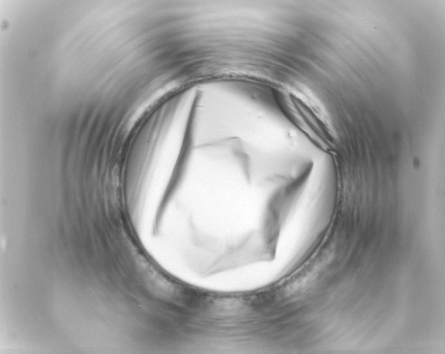 X0000088660798200706221634