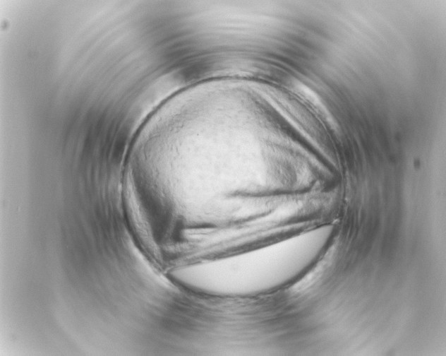 X0000088660802200706221634