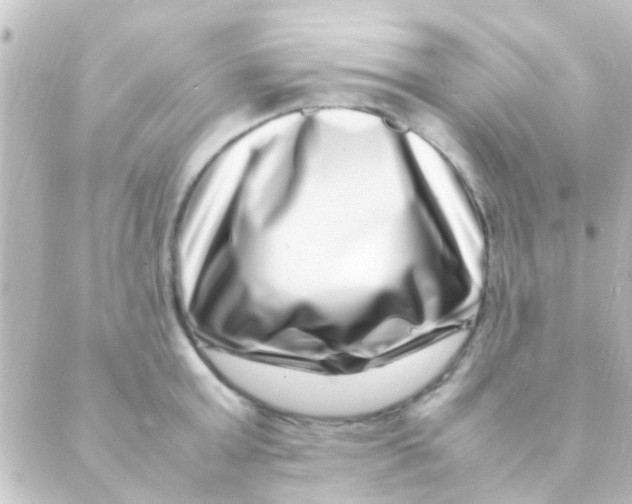 X0000088660803200706221634