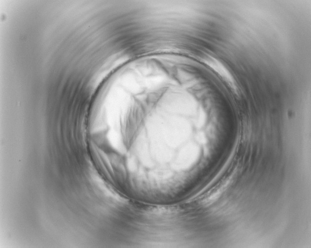 X0000088660806200706221634
