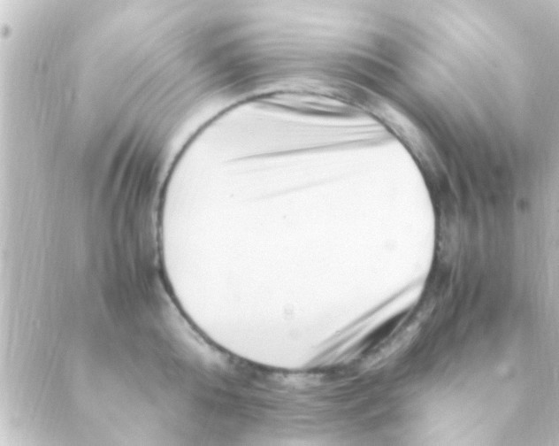 X0000088660808200706221634