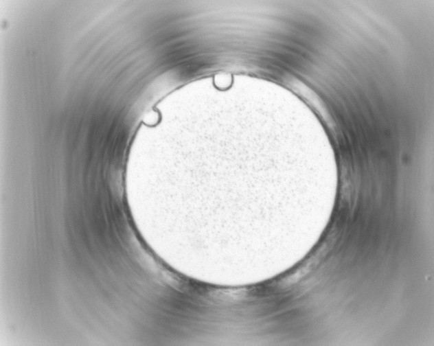 X0000088660810200706221634