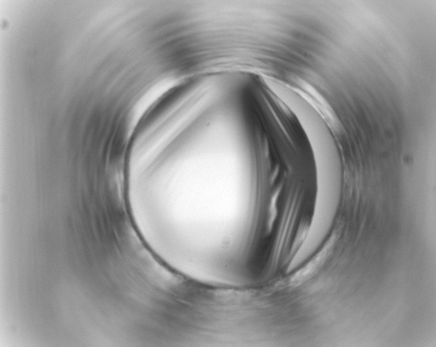 X0000088660812200706221634