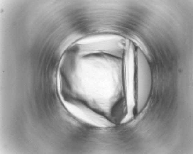 X0000088660814200706221634