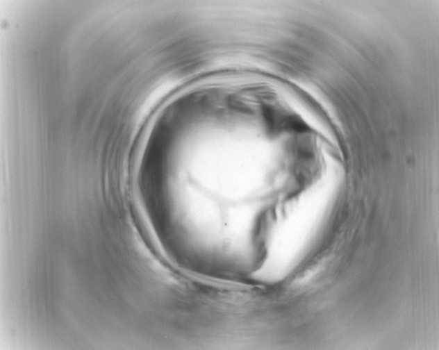 X0000088660815200706221634