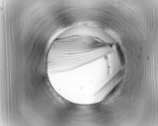 X0000088660816200706221634