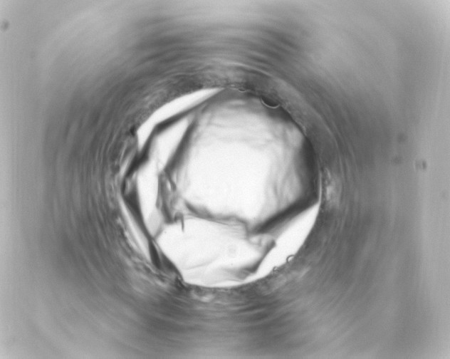 X0000088660819200706221633