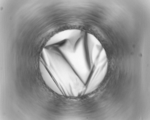 X0000088660821200706221633