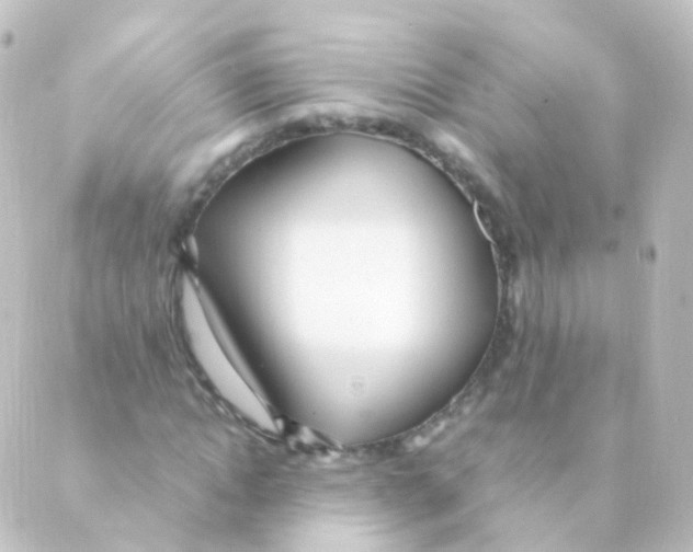 X0000088660822200706221633