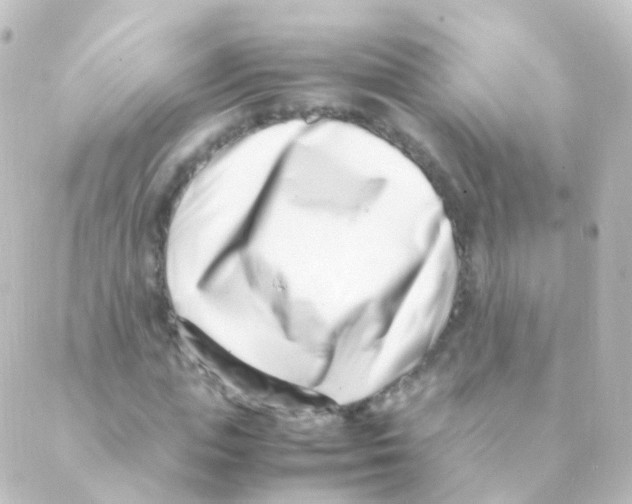 X0000088660823200706221633