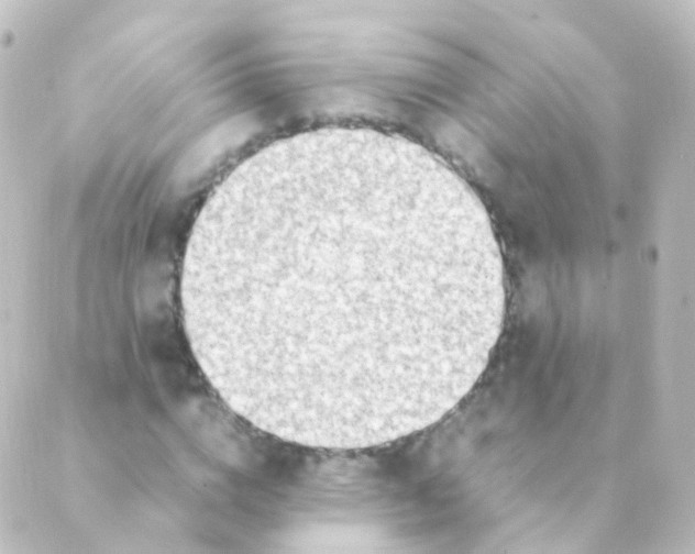 X0000088660824200706221633