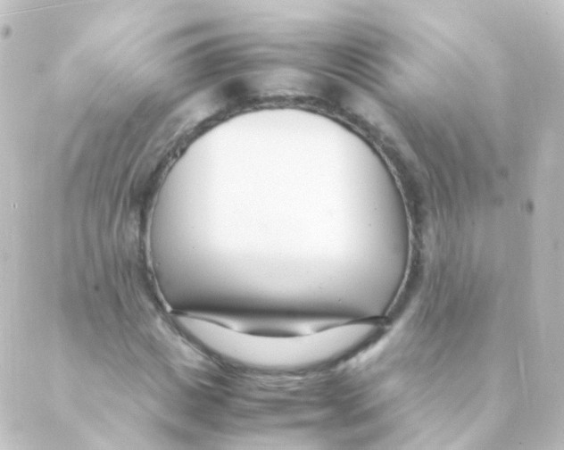 X0000088660825200706221633