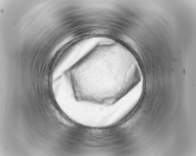 X0000088660827200706221633