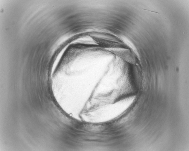 X0000088660831200706221633