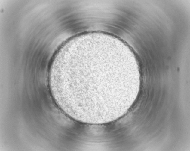 X0000088660832200706221633