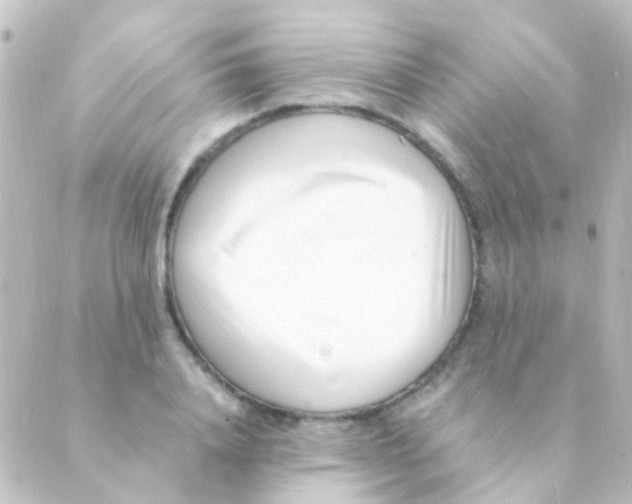 X0000088660840200706221633