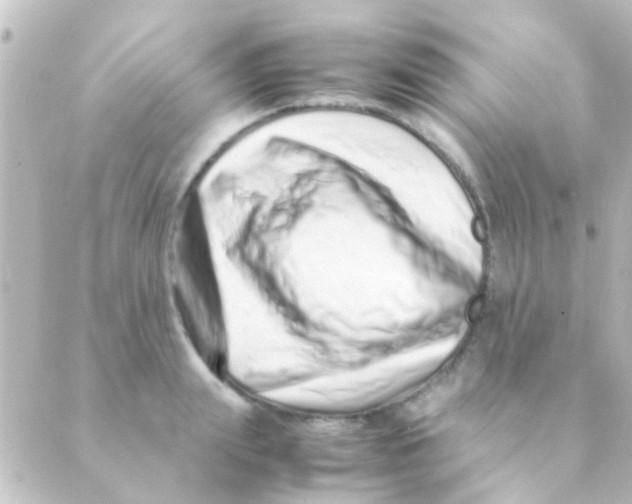 X0000088660847200706221633