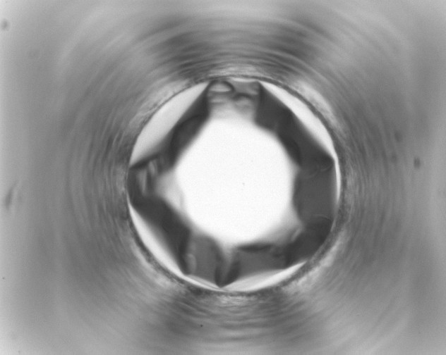 X0000088660849200706221633