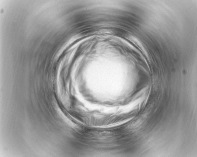 X0000088660851200706221633