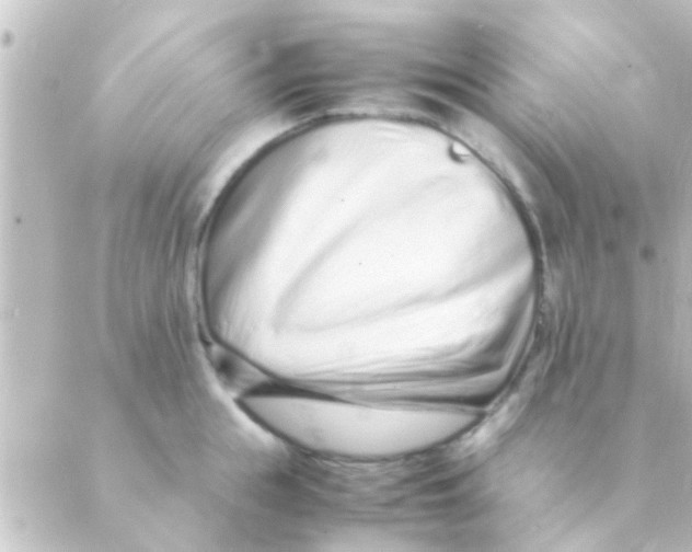 X0000088660855200706221633