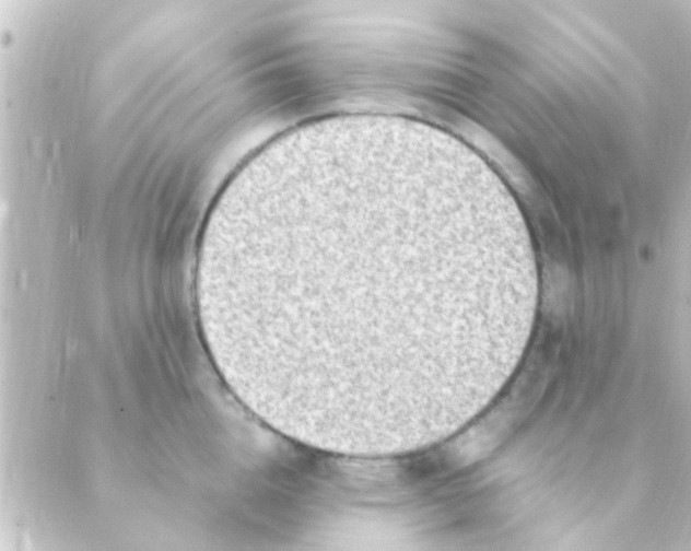 X0000088660856200706221633