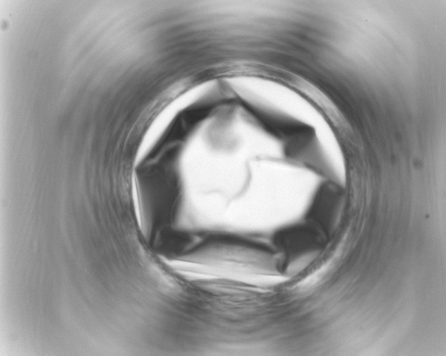 X0000088660857200706221633