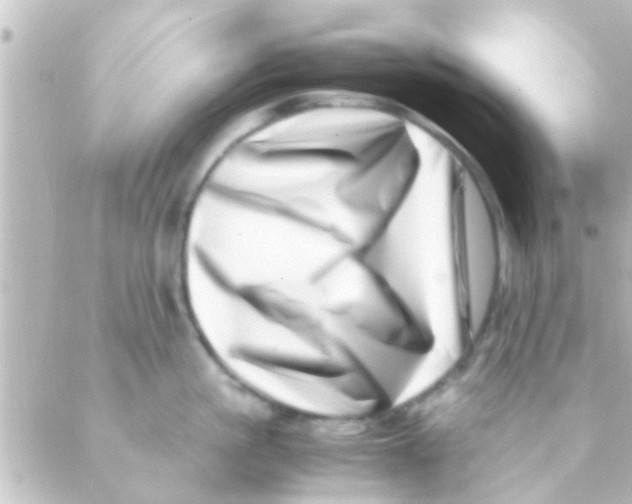 X0000088660861200706221634